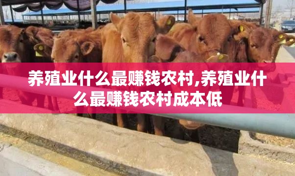10万左右油电混合动力车推荐。