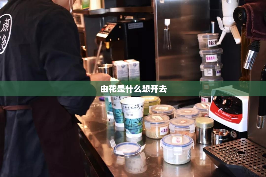 【瑞虎8plus贴吧,瑞虎8plus用户体验】