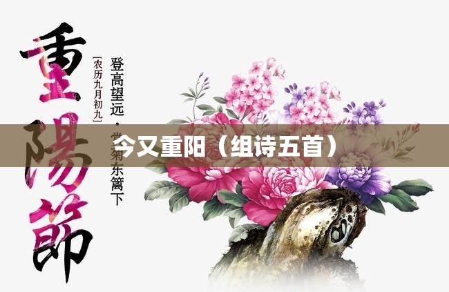 女士表品牌十大排名