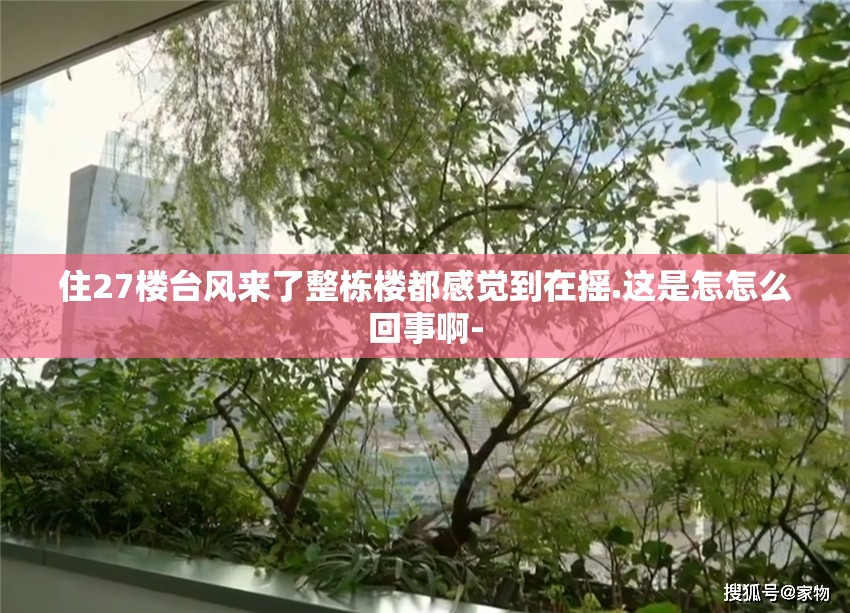 住27楼台风来了整栋楼都感觉到在摇.这是怎怎么回事啊-