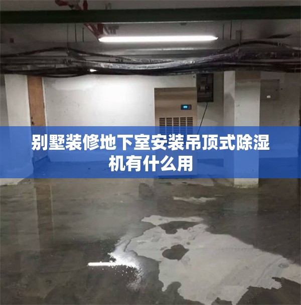 别墅装修地下室安装吊顶式除湿机有什么用