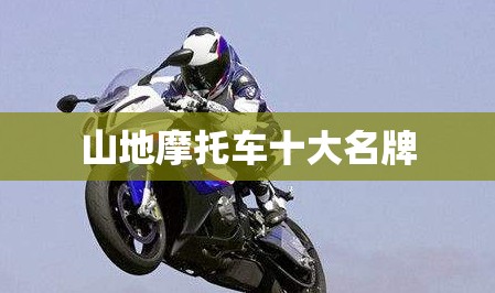 山地摩托车十大名牌