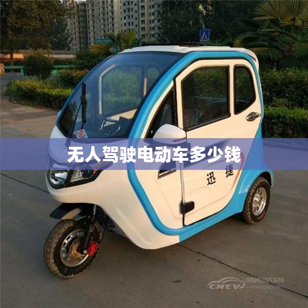 无人驾驶电动车多少钱