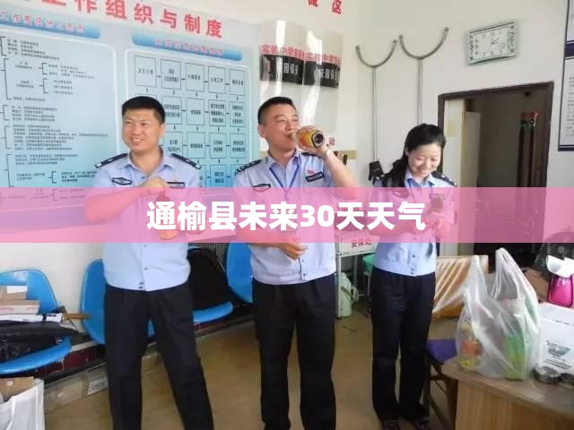 通榆县未来30天天气