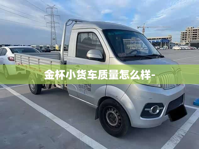 中国生产的汽车有哪些（中国制造的汽车）