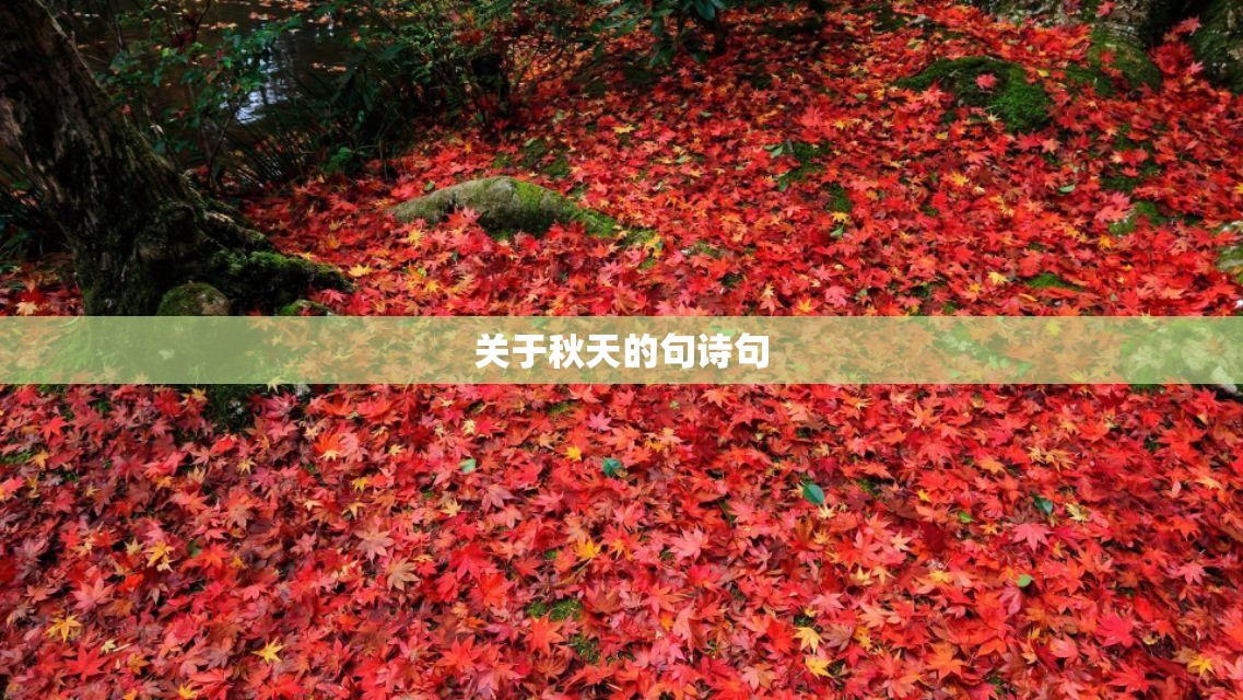 关于秋天的句诗句