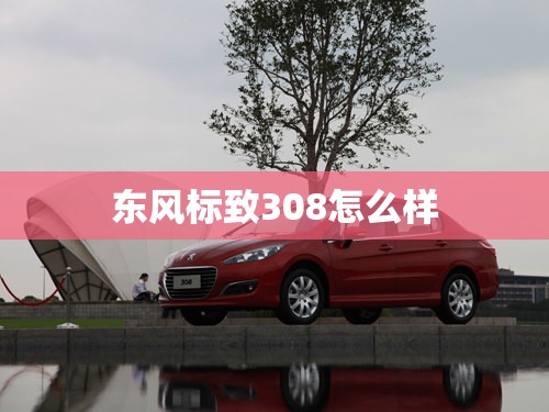 东风标致308怎么样