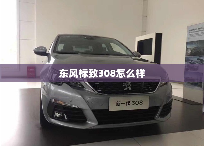 东风标致308怎么样