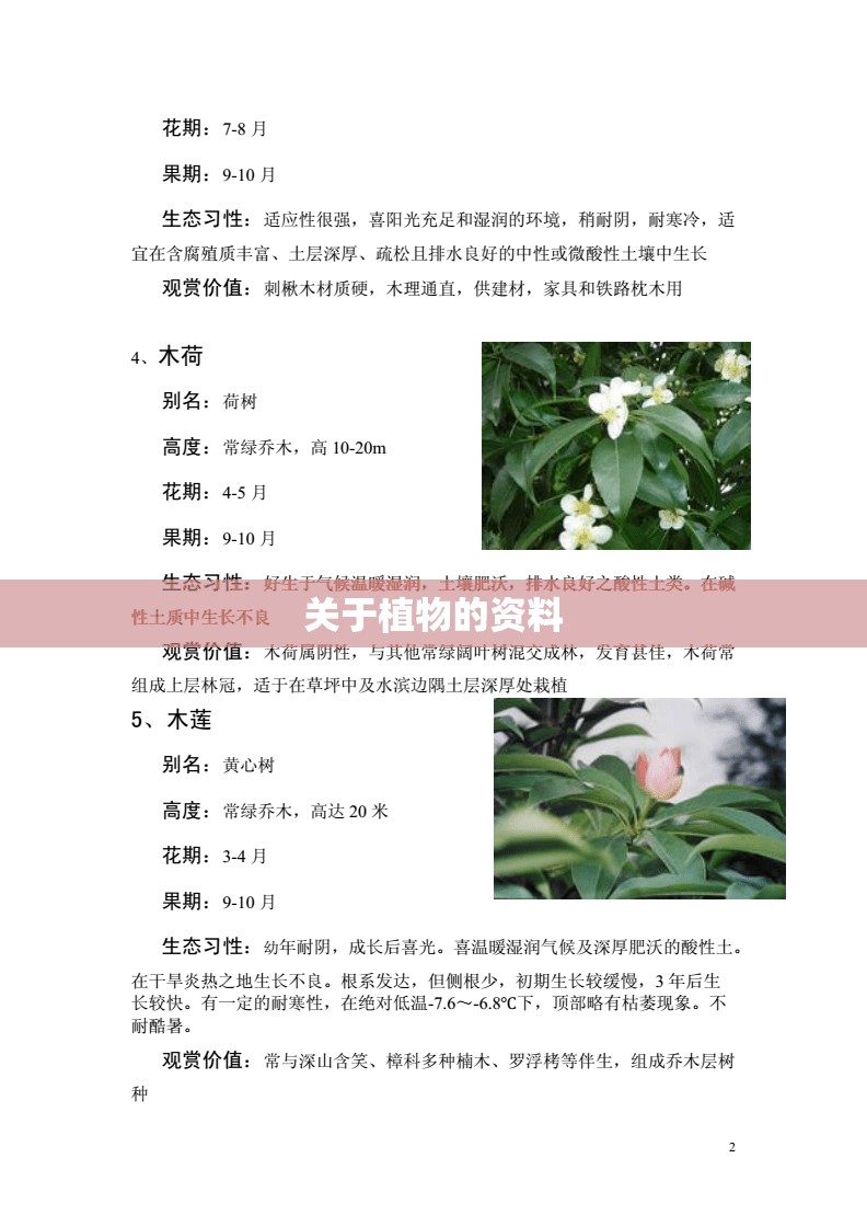 关于植物的资料
