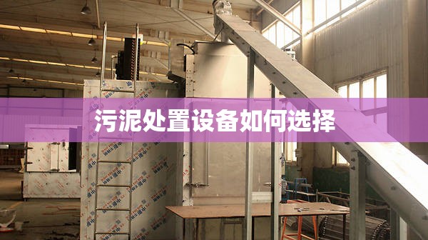 比亚迪五年免息零首付车,比亚迪五年免息零首付车款
