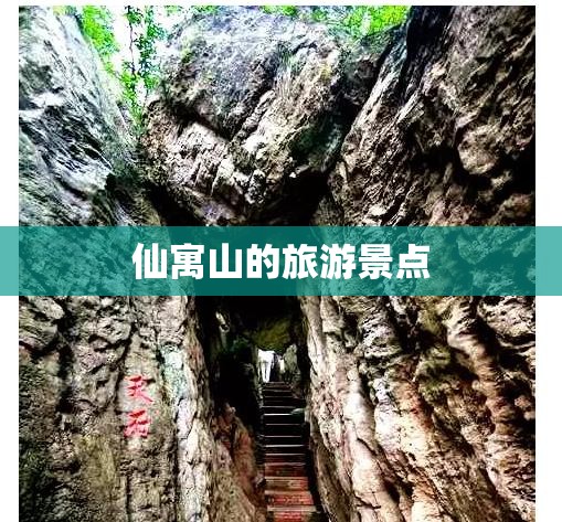 【柯迪亚克suv最新版,柯迪亚克suv最新版是哪一款】