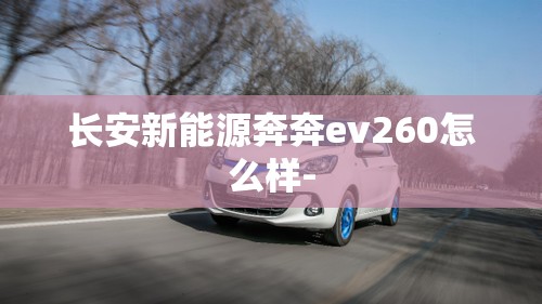 长安新能源奔奔ev260怎么样-