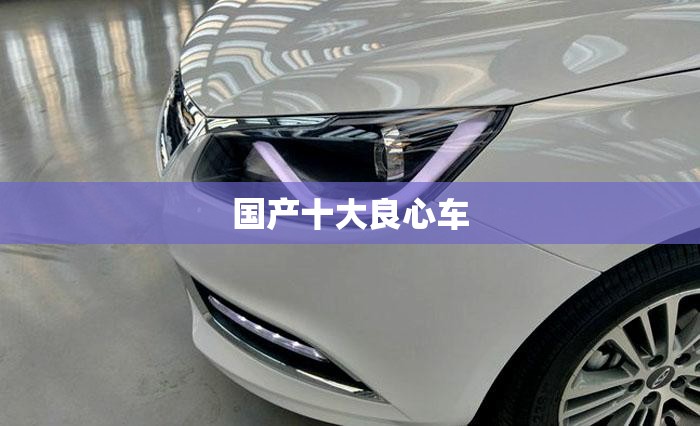 国产十大良心车