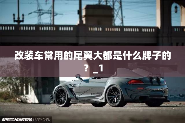 改装车常用的尾翼大都是什么牌子的？_1
