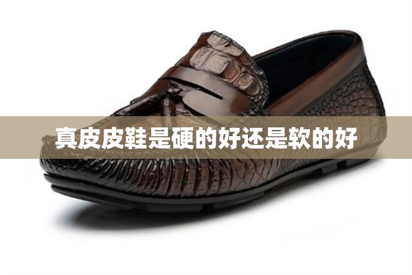 钨矿费用（钨矿费用今日报价）
