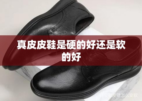 真皮皮鞋是硬的好还是软的好