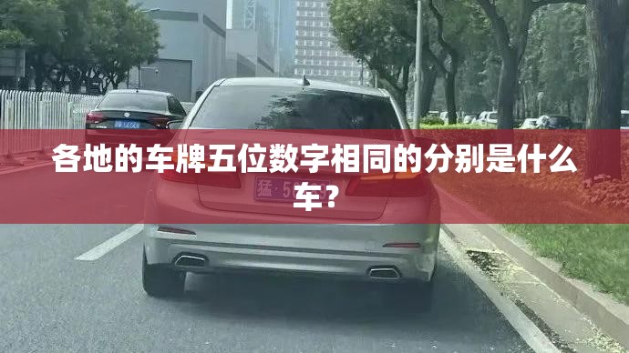 各地的车牌五位数字相同的分别是什么车？