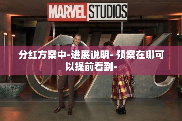 分红方案中-进展说明- 预案在哪可以提前看到-