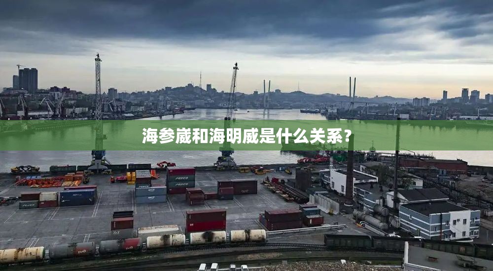 海参崴和海明威是什么关系？