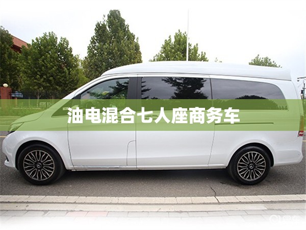 油电混合七人座商务车 油电混合七人座商务车