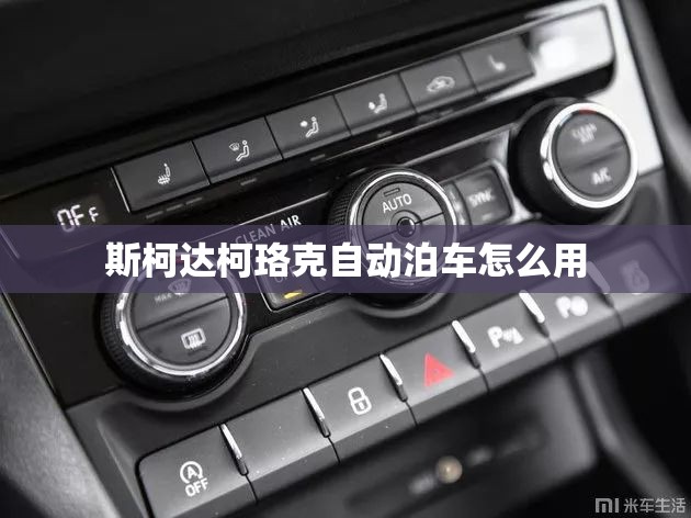 斯柯达柯珞克自动泊车怎么用