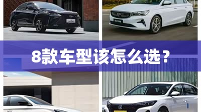 8款车型该怎么选? 8款车型该怎么选?