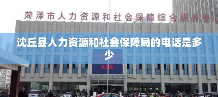 一台车能有多智能？