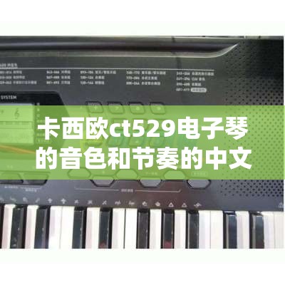 卡西欧ct529电子琴的音色和节奏的中文表 卡西欧ct529电子琴的音色和节奏的中文表