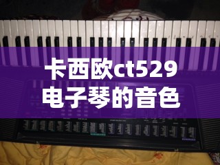 卡西欧ct529电子琴的音色和节奏的中文表 卡西欧ct529电子琴的音色和节奏的中文表