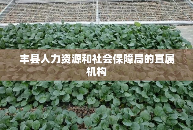 可移动小型码垛机/自动码垛机器