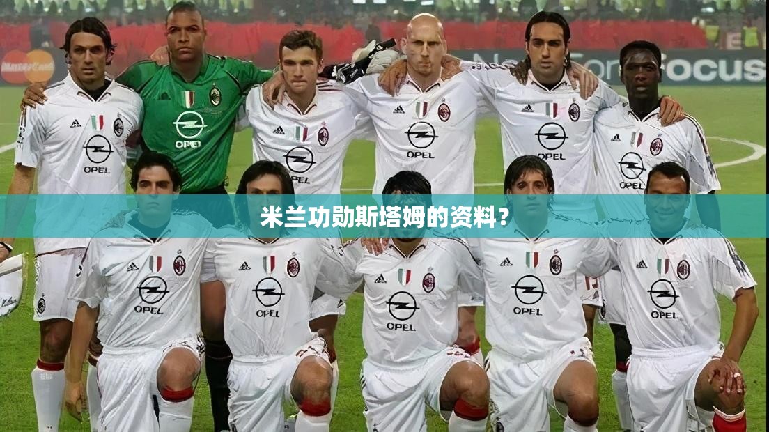 米兰功勋斯塔姆的资料？