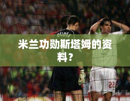 米兰功勋斯塔姆的资料？