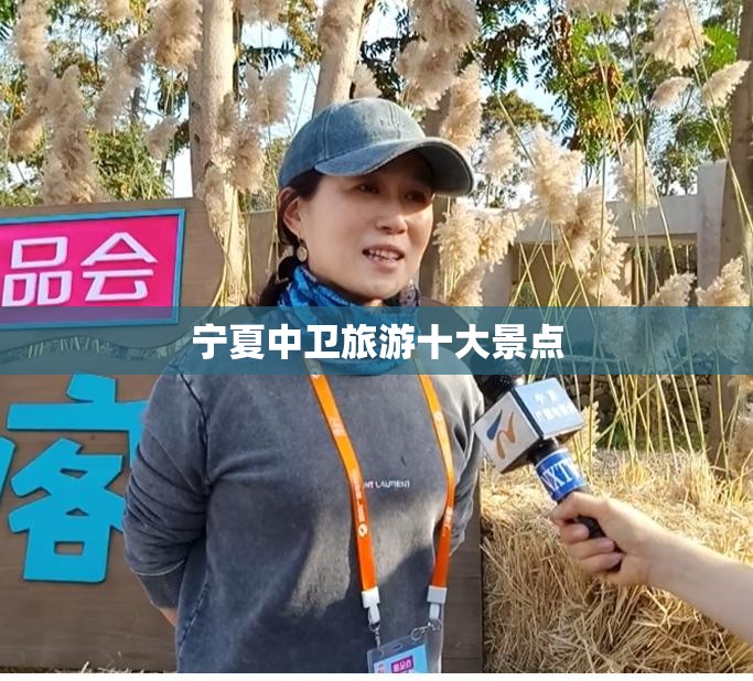 大众途铠豪华版价格