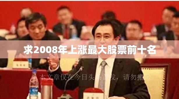 求2008年上涨最大股票前十名
