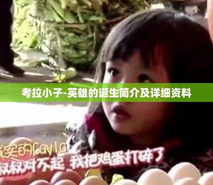 考拉小子-英雄的诞生简介及详细资料 考拉小子-英雄的诞生简介及详细资料