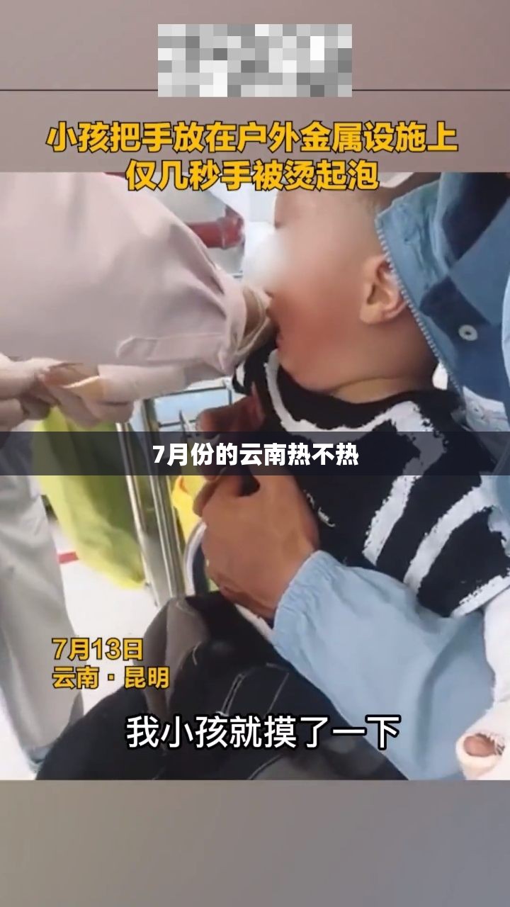 收纳用品的收纳用品
