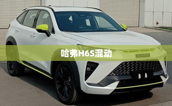 哈弗H6S混动 哈弗H6S混动