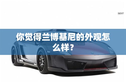 你觉得兰博基尼的外观怎么样？