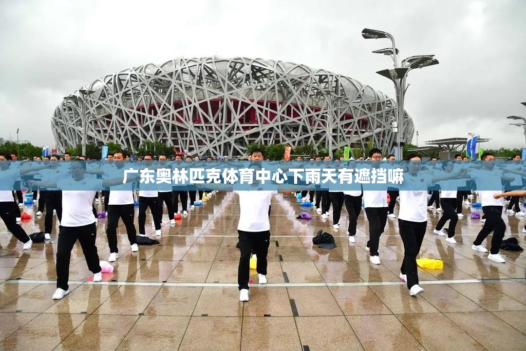 广东奥林匹克体育中心下雨天有遮挡嘛