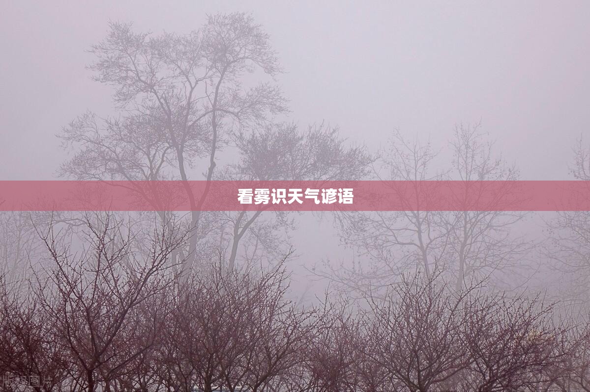 600653申华控股股吧600653（申华控股股票走势）