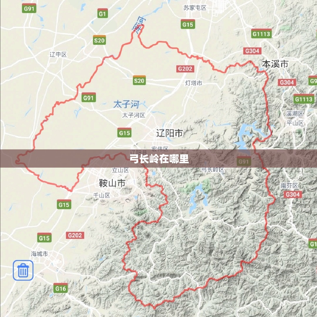 【苏宁易购股票分析,苏宁易购这支股票怎么样呀】