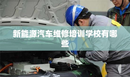 新能源汽车维修培训学校有哪些
