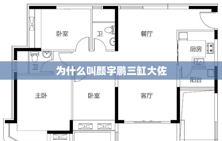 为什么叫颜宇鹏三缸大佐 为什么叫颜宇鹏三缸大佐