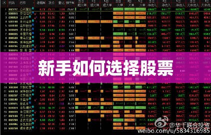 新手如何选择股票
