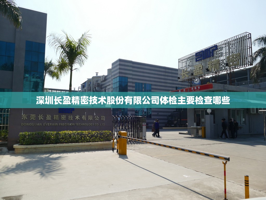 股票300511/股票300开头买入条件是什么