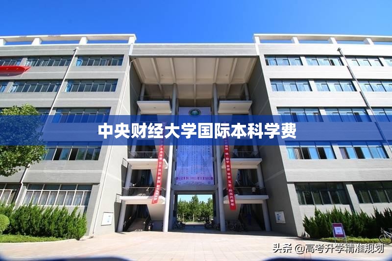 中央财经大学国际本科学费