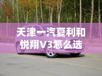 天津一汽夏利和悦翔V3怎么选