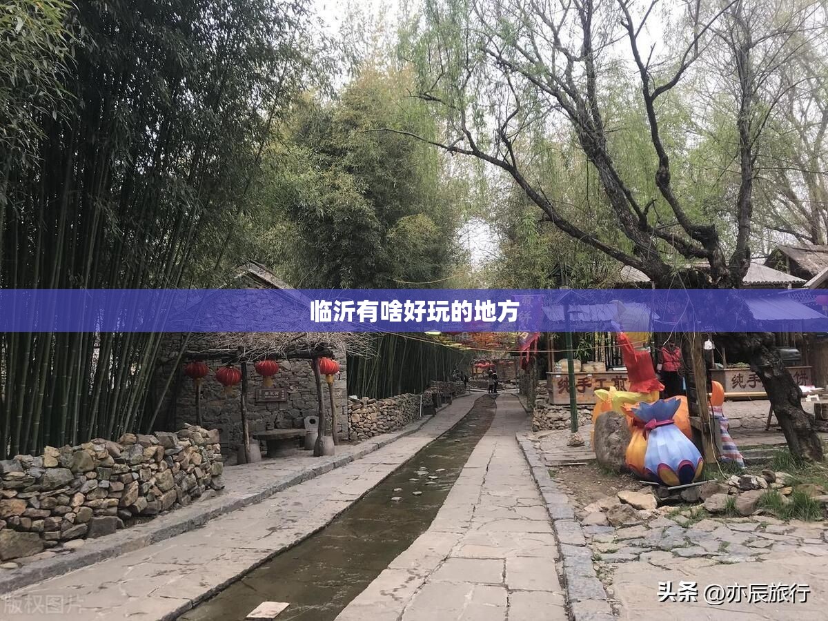 股票002588（股票002581）