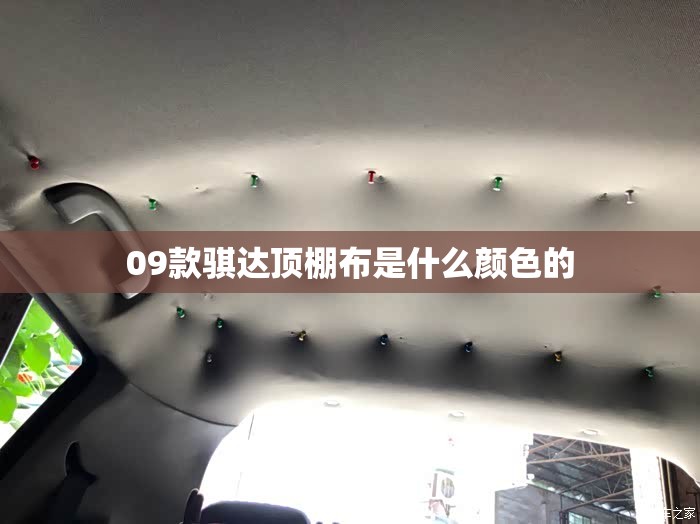 09款骐达顶棚布是什么颜色的