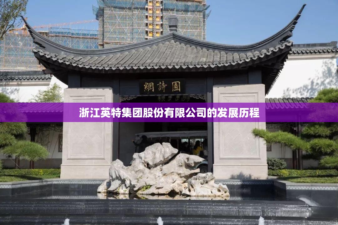 浙江英特集团股份有限公司的发展历程